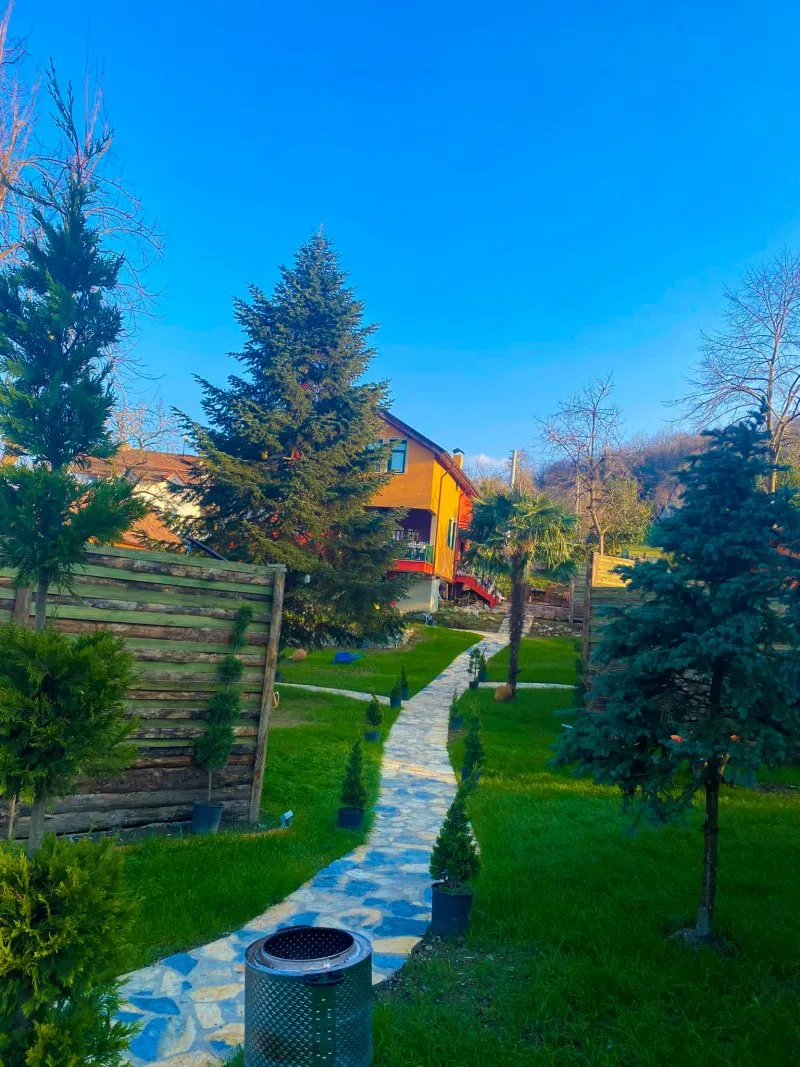 Genel Görünüm