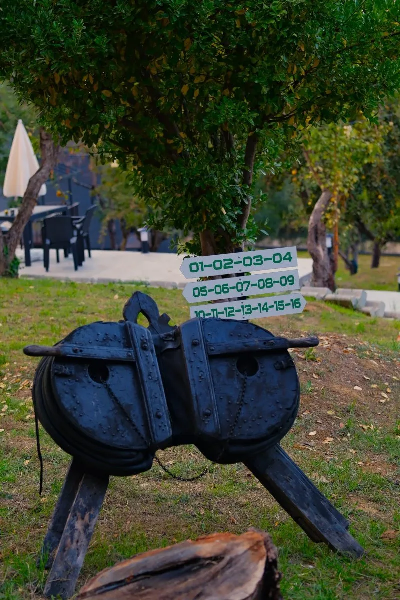 Genel Görünüm