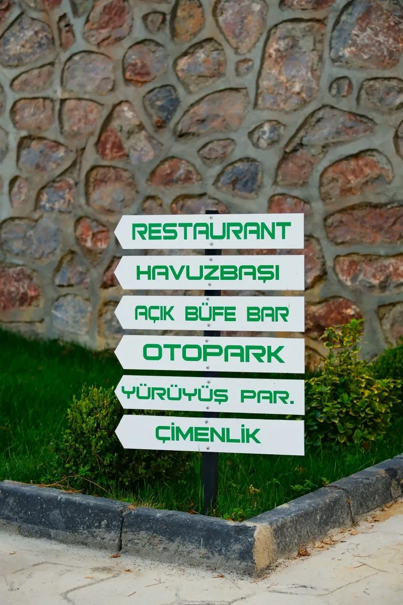 Genel Görünüm