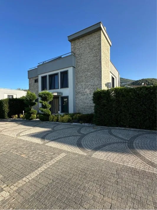 Aşk Sapanca Villa - 3. görsel