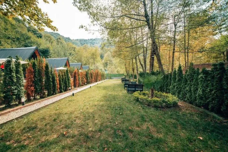 Sapanca Oksijen Bungalov'un bahçesi ve bungalovlar