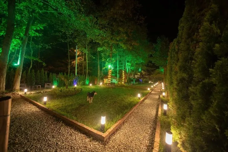Sapanca Oksijen Bungalov'un yeşil bahçesi ve aydınlatmasıyla huzurlu bir görünüm.
