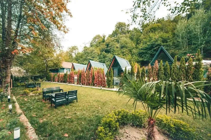 Sapanca Oksijen Bungalov'un yeşil bahçesi ve bungalovları